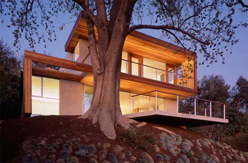 Passive Solar Tree House by L.A. Architects Standard.