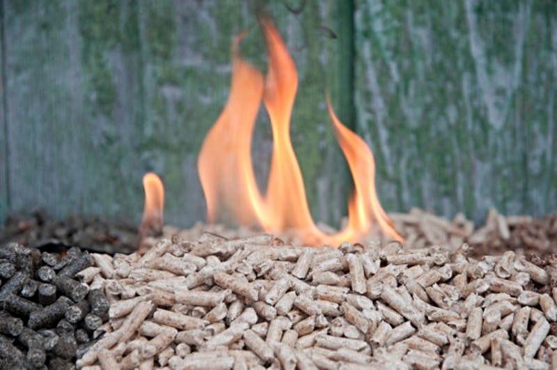 Biomass fuel pellets