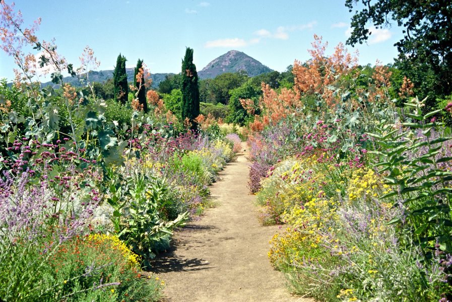 Sustainable Garden Spain